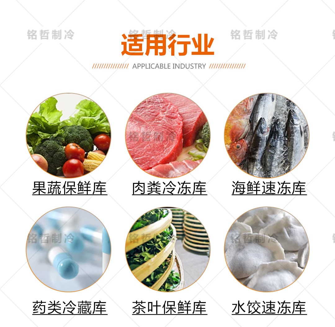 冷库蒸发器室内风机DD冷藏冷冻高中低温速冻DJ风机吊顶式大型机组(pic6)