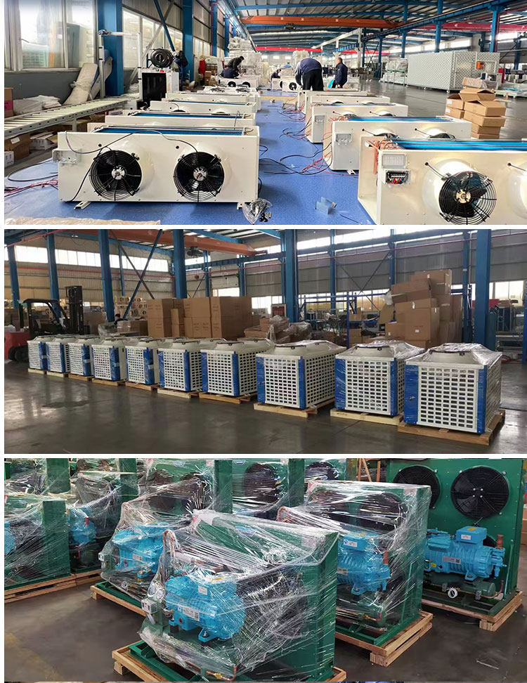汉钟螺杆机RC2单双/多并联大型冷库制冷机组冷藏冷冻专用压缩机组(pic6)