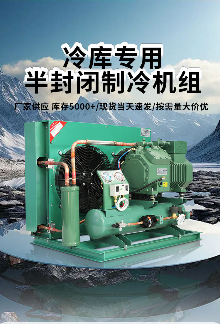 德国比泽尔冷库制冷机组全套设备3p5p半封闭活塞高低温专用压缩机(pic6)