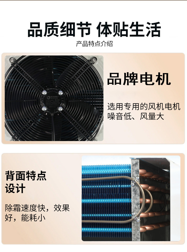 冷库冷风机蒸发器制冷设备电化霜内机小型全套设备专用冷藏DD内机(pic7)