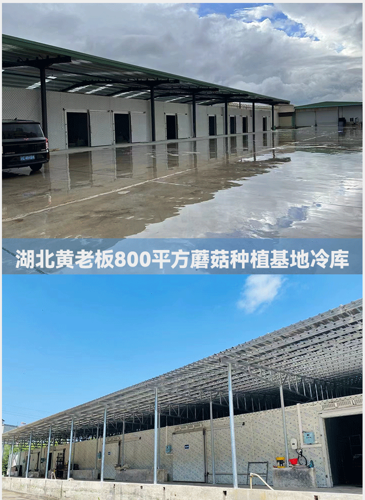冷库全套设备小型家用果蔬保鲜库大型气调库冷冻库双温库制冷机组(pic5)