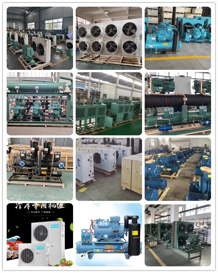 沈一冷谷轮型大明半封闭压缩机二四六缸冷库保鲜冷藏冷冻机3-50P(pic15)