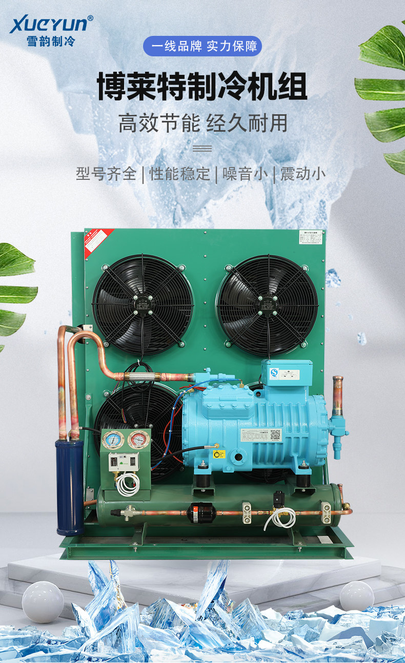 冷库制冷机组冷藏10匹5匹低温博莱特半封闭全套设备活塞机压缩机(pic2)