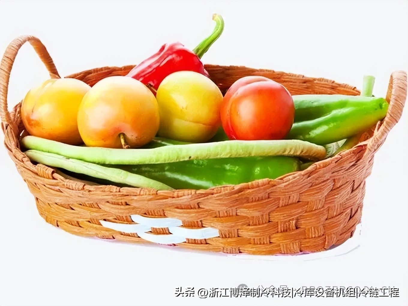 冷库和保鲜库，傻傻分不清？看完这篇再也不花冤枉钱！(pic2)