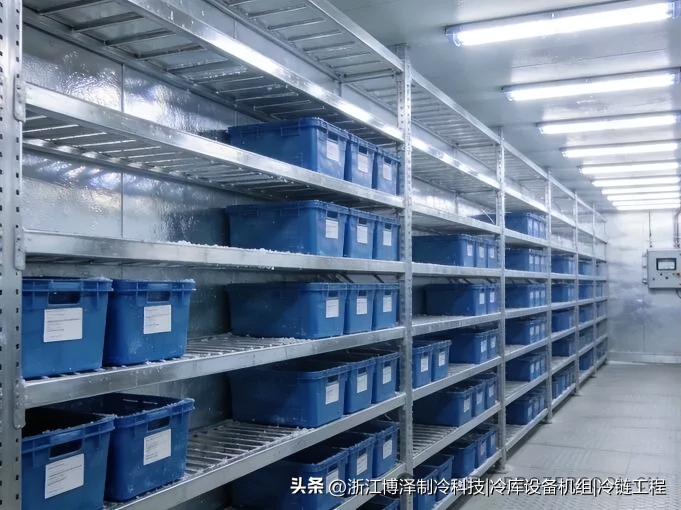 冷库储存方法全攻略：温度分区、货物摆放、湿度控制的实用技巧(pic2)