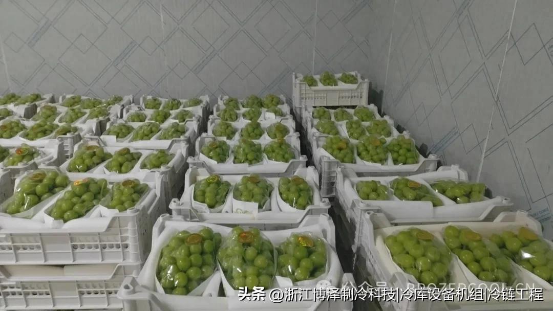 冷库结霜怎么办？教你3招省电50%，制冷效果翻倍！