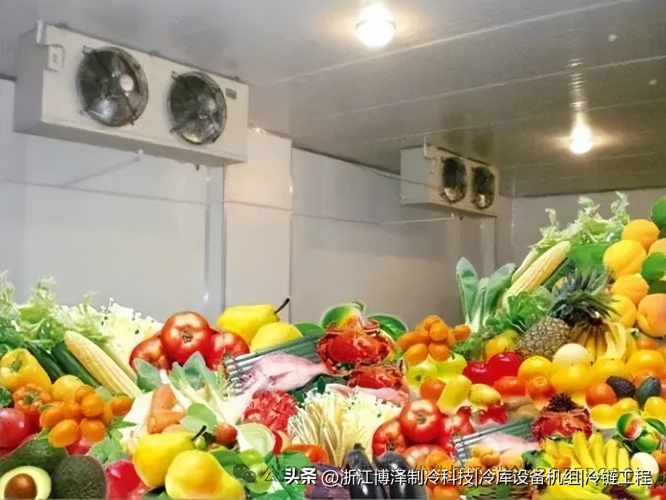 冷库能用多久？从建造到维护全周期寿命解析(pic6)