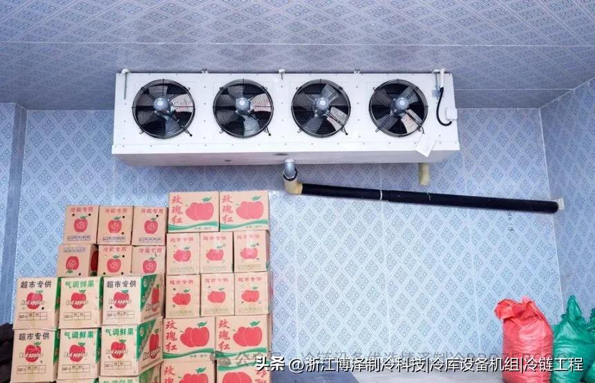 水果店建个小冷库，真的能省很多钱！(pic2)