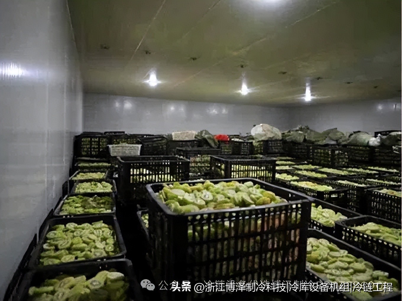 冷库存什么最赚钱？这些高需求品类藏着真金白银(pic2)