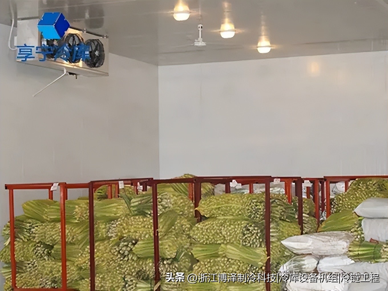 冷库存什么最赚钱？这些高需求品类藏着真金白银(pic4)