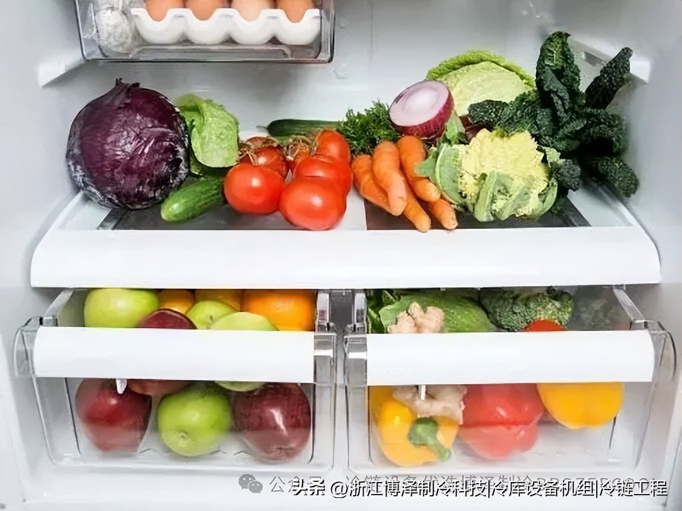 20平米冷库到底要用几匹？这份实用指南帮你一次性搞定(pic5)