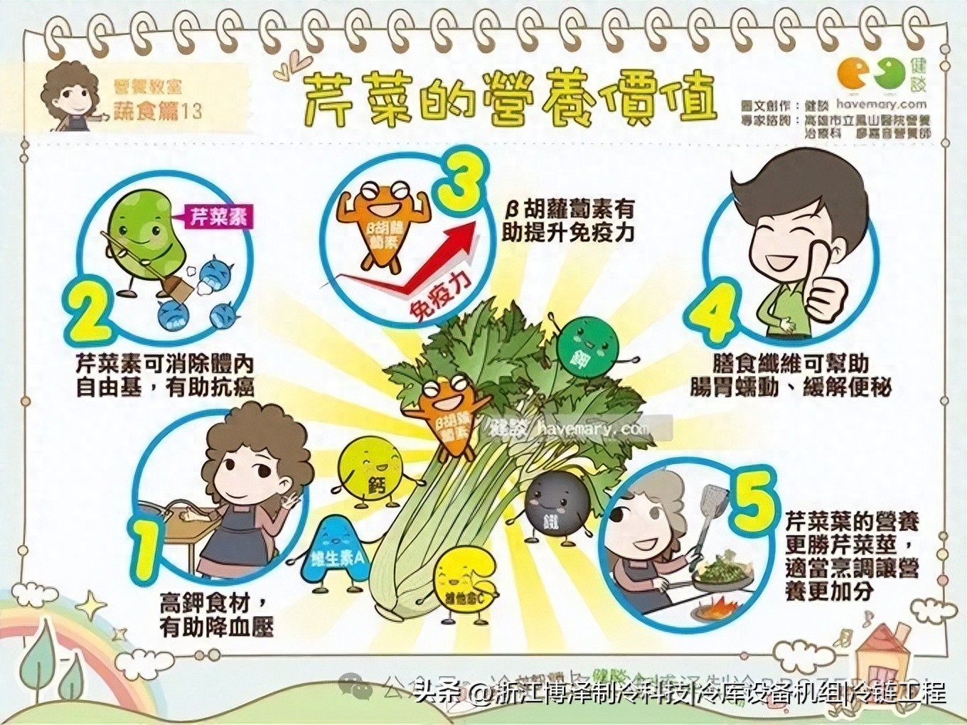 芹菜冷库保鲜储存技术全攻略：让新鲜多停留几个月