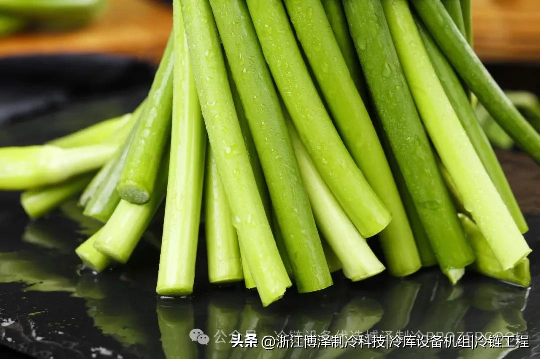让蒜薹鲜嫩如初！冷库保鲜技术全解析，轻松实现超长储藏