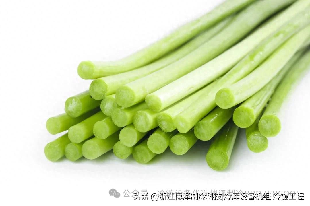 让蒜薹鲜嫩如初！冷库保鲜技术全解析，轻松实现超长储藏(pic1)