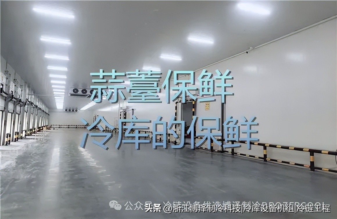 让蒜薹鲜嫩如初！冷库保鲜技术全解析，轻松实现超长储藏(pic4)