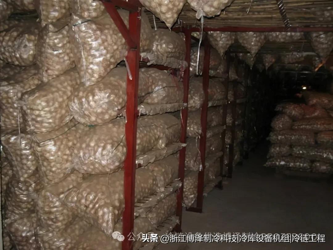 大蒜保鲜秘籍：从田间到餐桌的完美守护(pic4)