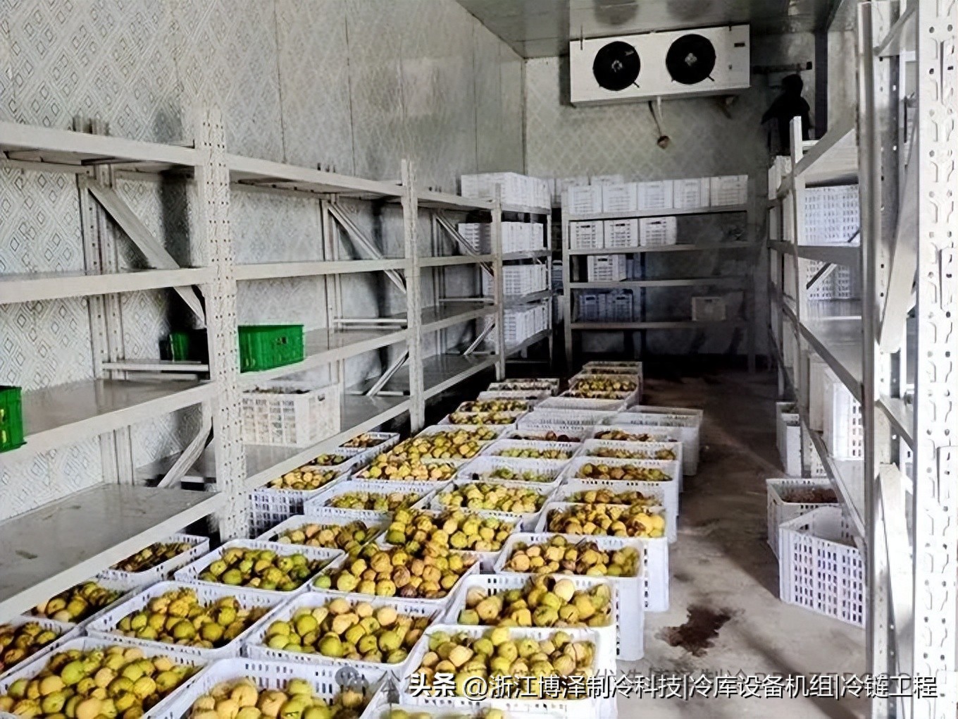 冷库吨位怎么算?一篇搞懂不浪费空间(pic1) 冷库吨位怎么算?一篇搞懂不浪费空间(pic1)