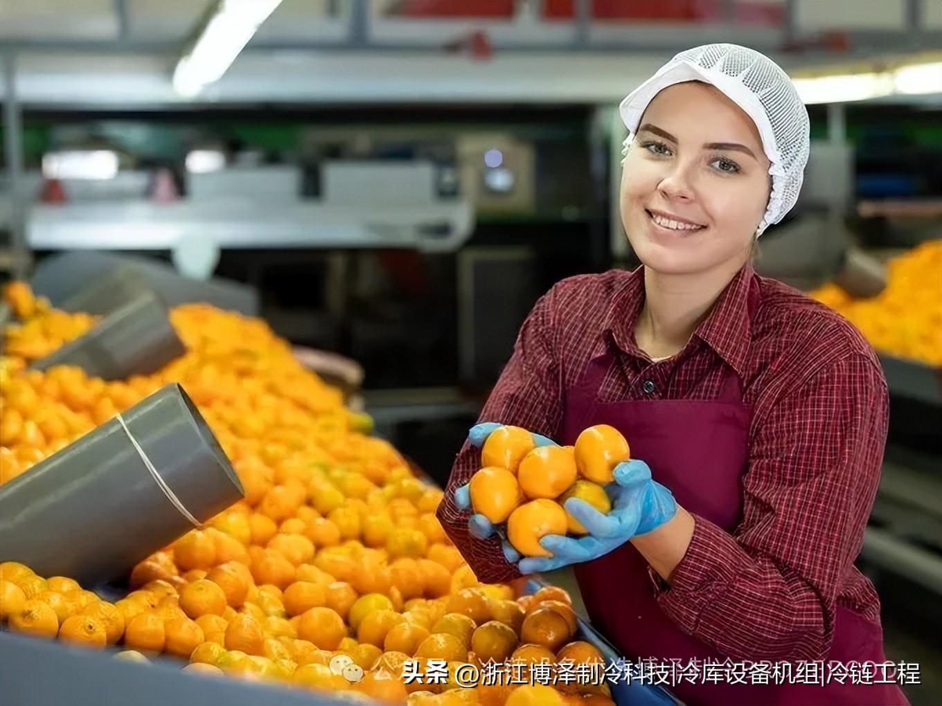 板栗放冷库能存多久？老农户不会告诉你的保鲜秘诀(pic2)