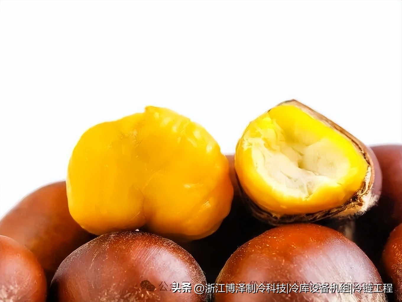 板栗放冷库能存多久？老农户不会告诉你的保鲜秘诀(pic6)