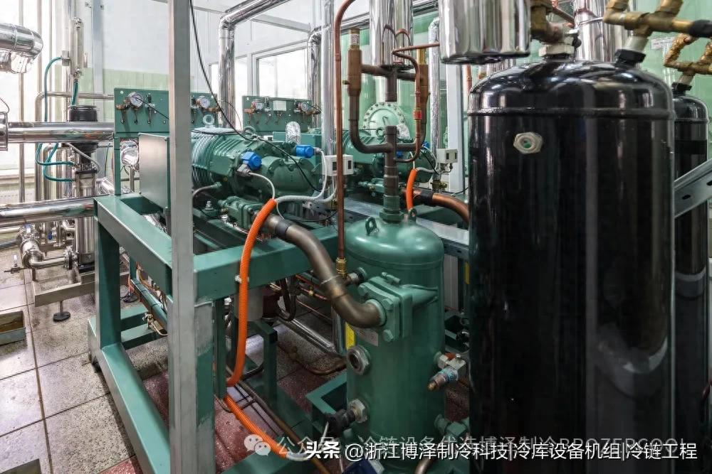 冷库建在哪？90%的人都选错了！资深工程师揭秘选址6大黄金法则