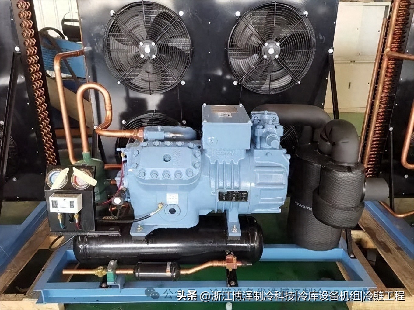 建个果蔬冷库到底要花多少钱？2026最新造价清单，看完不再被坑！