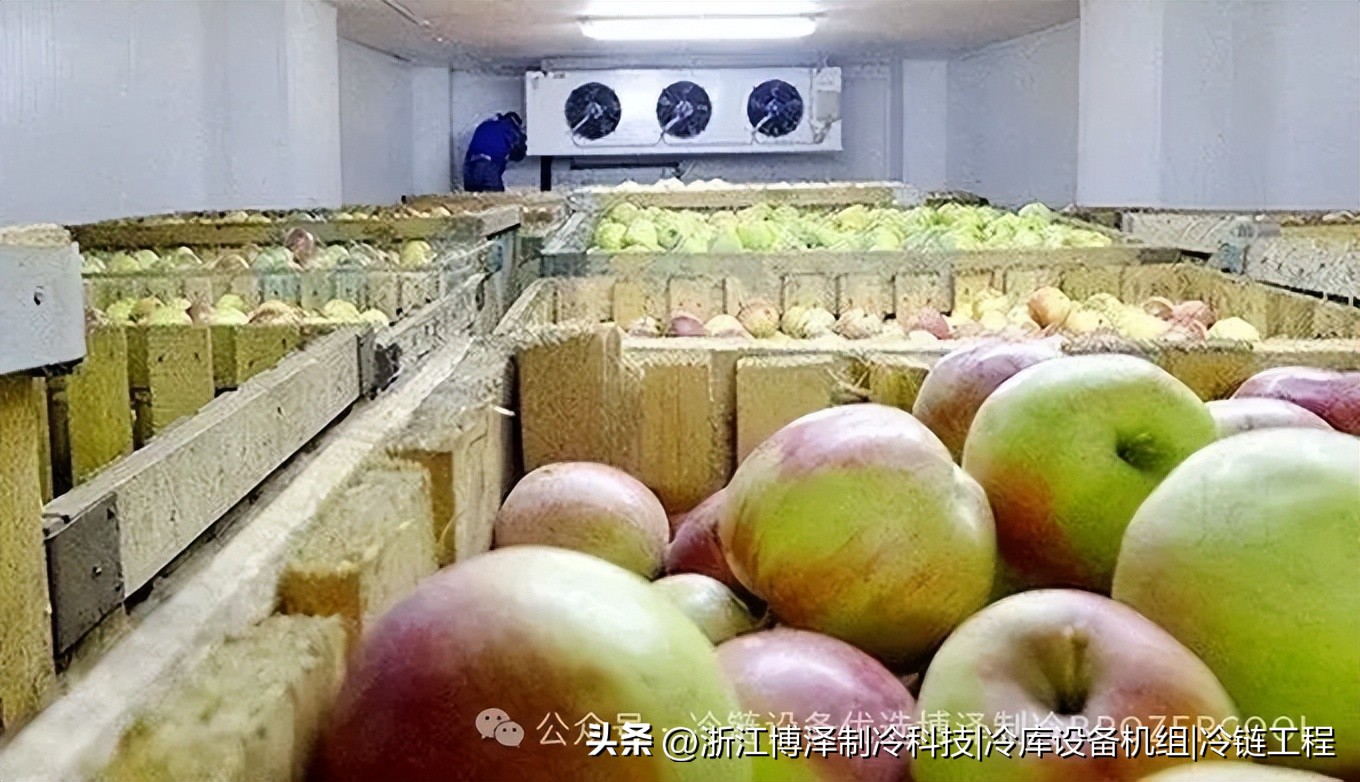 建个果蔬冷库到底要花多少钱?2026最新造价清单,看完不再被坑!(pic3) 建个果蔬冷库到底要花多少钱?2026最新造价清单,看完不再被坑!(pic3)
