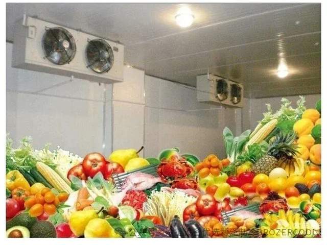 花3万建个冷库,到底值不值?(pic4) 花3万建个冷库,到底值不值?(pic4)