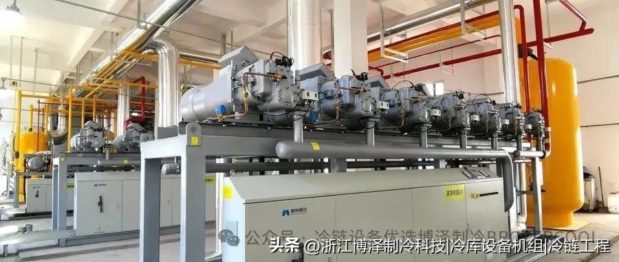 羊肉冷库贮藏避坑指南：选对冷库，让你的羊肉卖相好、更安全(pic5)