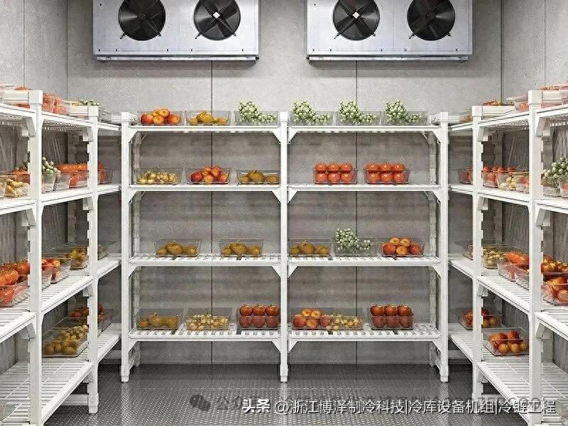 冷库温度设计：不是越低越好！一位老师傅的避坑指南