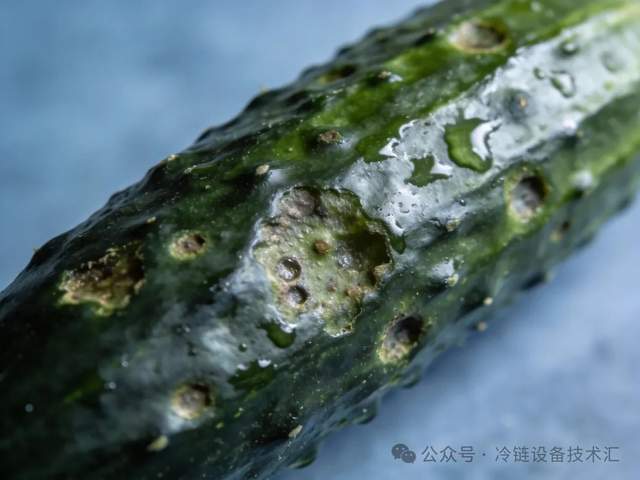 常见果蔬冷库储存温度速查表：30种蔬菜水果适宜温度与保鲜期(pic5)