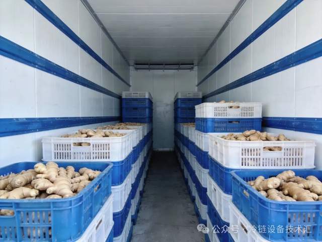 生姜冷库储存技术全解：温湿度精准控制与入库管理规范