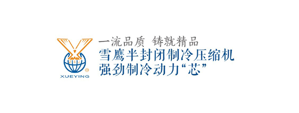 精品雪鹰系列活塞压缩机 两缸压缩机(pic16)
