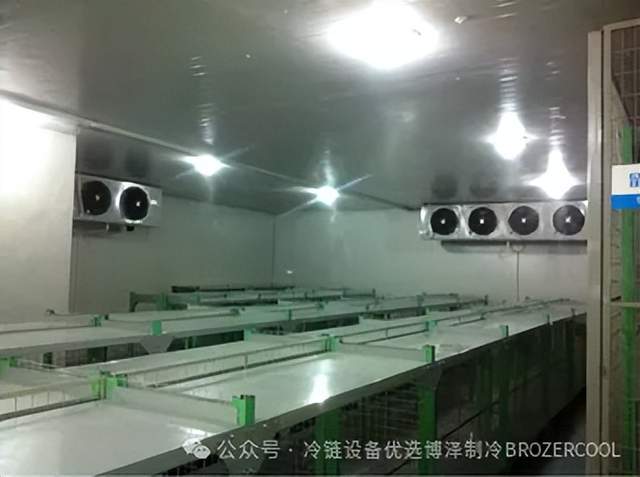 建一个冷库需要多久？5个阶段时间安排一目了然(pic5)